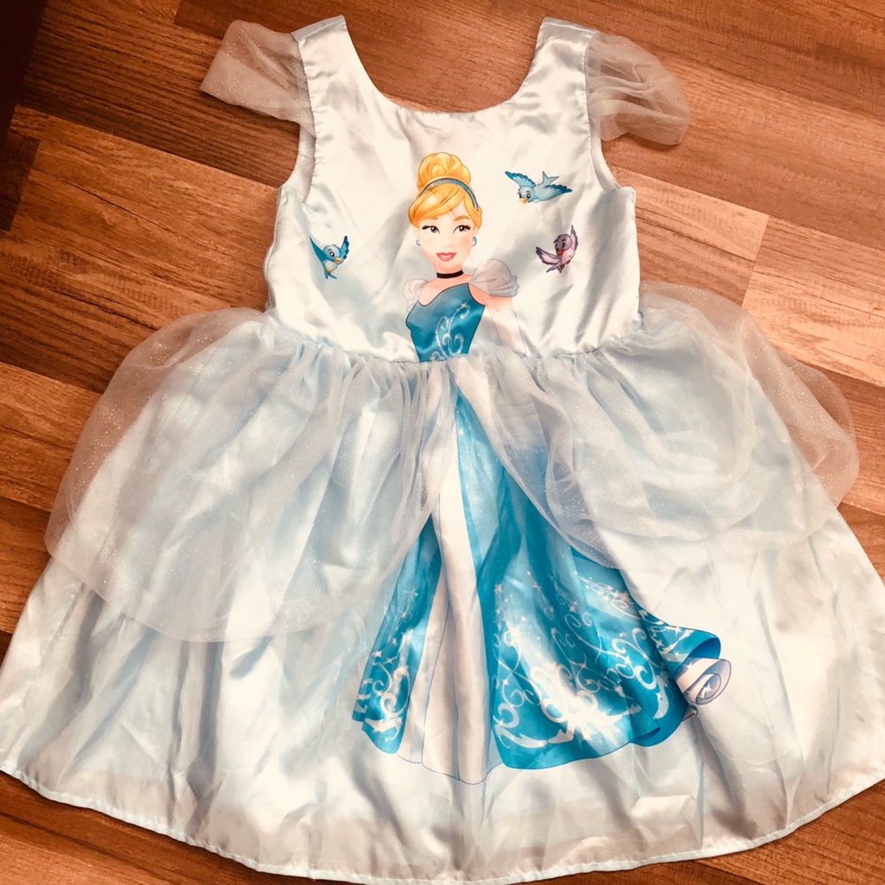 NWOT Cinderella dress.